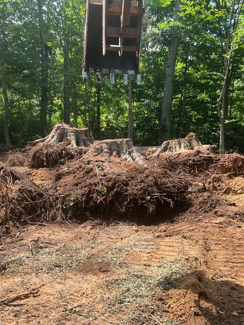 View site clearing and stump removal in Allegan